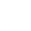 white phone icon